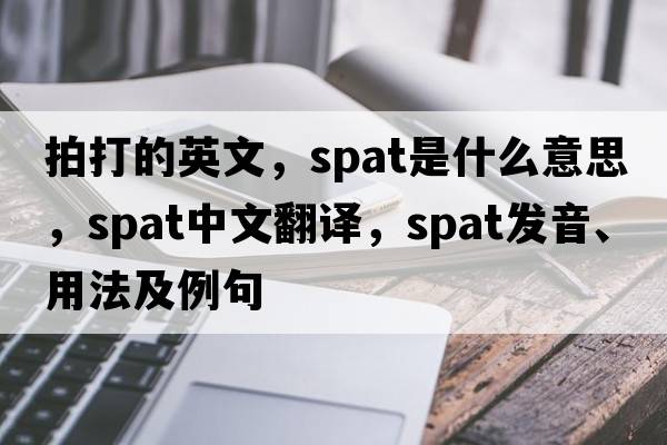 拍打的英文，spat是什么意思，spat中文翻譯，spat發(fā)音、用法及例句