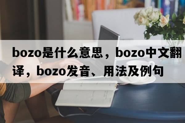bozo是什么意思，bozo中文翻譯，bozo發(fā)音、用法及例句