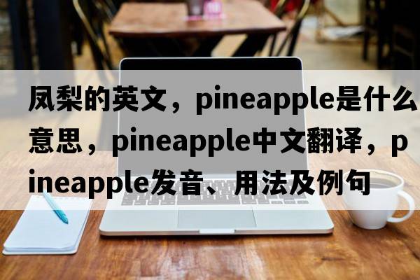 鳳梨的英文，pineapple是什么意思，pineapple中文翻譯，pineapple發(fā)音、用法及例句