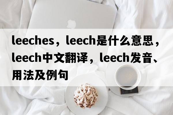leeches，leech是什么意思，leech中文翻譯，leech發(fā)音、用法及例句