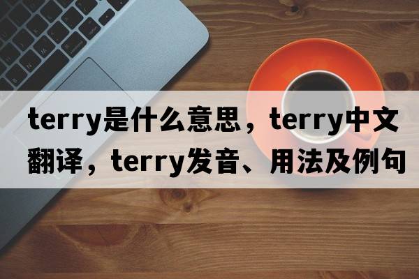 terry是什么意思，terry中文翻譯，terry發(fā)音、用法及例句