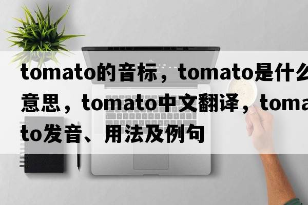 tomato的音標，tomato是什么意思，tomato中文翻譯，tomato發(fā)音、用法及例句