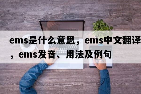 EMS是什么意思，EMS中文翻譯，EMS發(fā)音、用法及例句