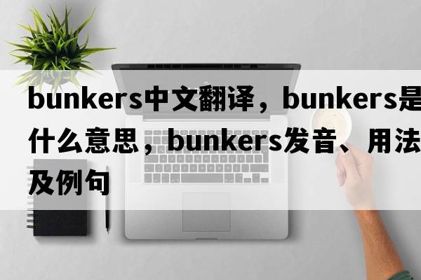 bunkers中文翻譯，bunkers是什么意思，bunkers發(fā)音、用法及例句