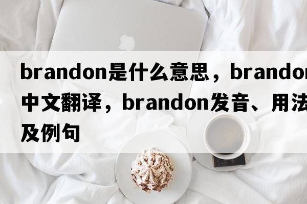 brandon是什么意思，brandon中文翻譯，brandon發(fā)音、用法及例句