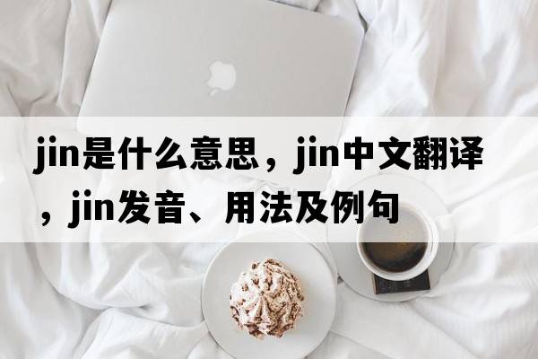 jin是什么意思，jin中文翻譯，jin發(fā)音、用法及例句