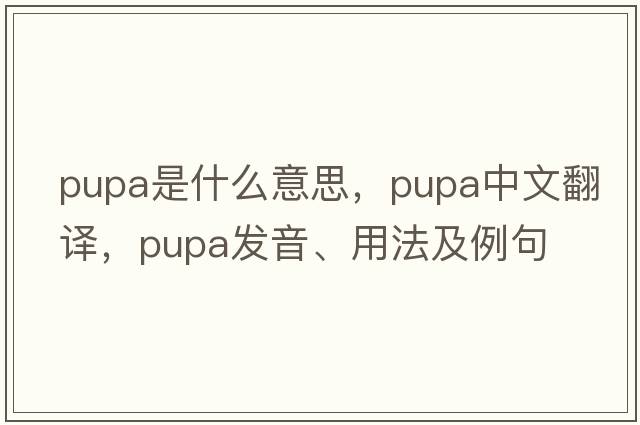 pupa是什么意思，pupa中文翻譯，pupa發(fā)音、用法及例句