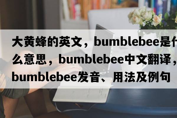 大黃蜂的英文，bumblebee是什么意思，bumblebee中文翻譯，bumblebee發(fā)音、用法及例句