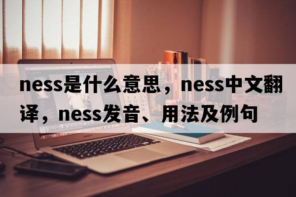ness是什么意思，ness中文翻譯，ness發(fā)音、用法及例句