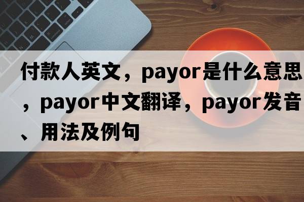 付款人英文，payor是什么意思，payor中文翻譯，payor發(fā)音、用法及例句