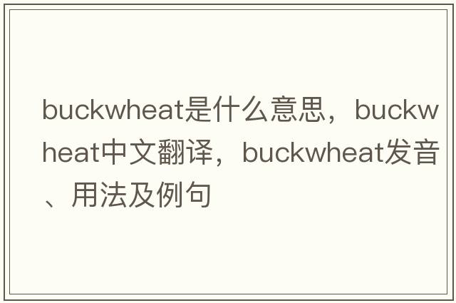 buckwheat是什么意思，buckwheat中文翻譯，buckwheat發(fā)音、用法及例句