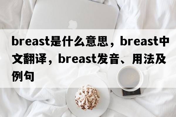 breast是什么意思，breast中文翻譯，breast發(fā)音、用法及例句