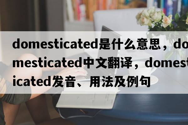domesticated是什么意思，domesticated中文翻譯，domesticated發(fā)音、用法及例句