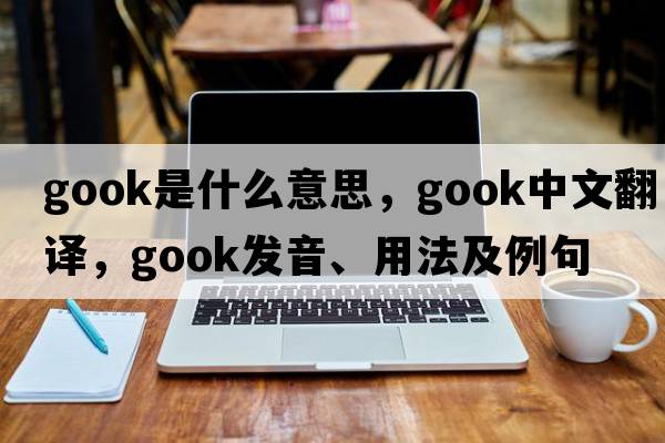 gook是什么意思，gook中文翻譯，gook發(fā)音、用法及例句