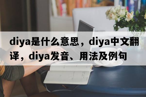 diya是什么意思，diya中文翻譯，diya發(fā)音、用法及例句