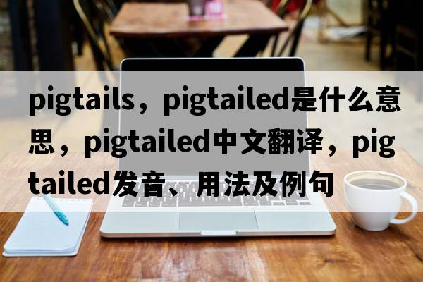 pigtails，pigtailed是什么意思，pigtailed中文翻譯，pigtailed發(fā)音、用法及例句