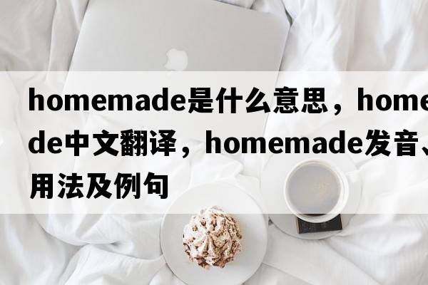 homemade是什么意思，homemade中文翻譯，homemade發(fā)音、用法及例句