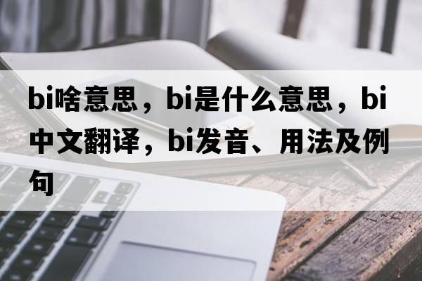 bi啥意思，BI是什么意思，BI中文翻譯，BI發(fā)音、用法及例句