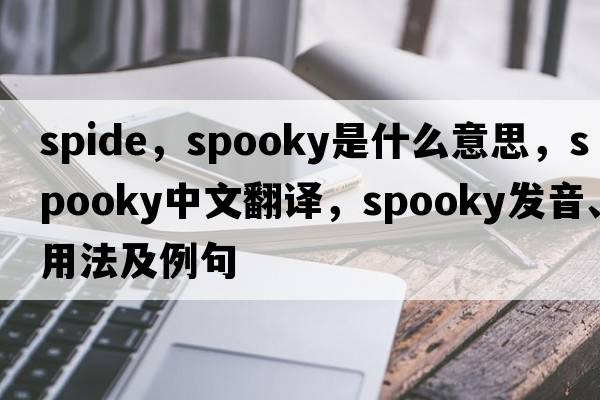 spide，spooky是什么意思，spooky中文翻譯，spooky發(fā)音、用法及例句