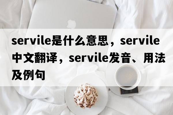 servile是什么意思，servile中文翻譯，servile發(fā)音、用法及例句