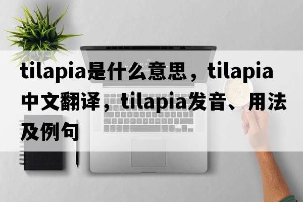 tilapia是什么意思，tilapia中文翻譯，tilapia發(fā)音、用法及例句