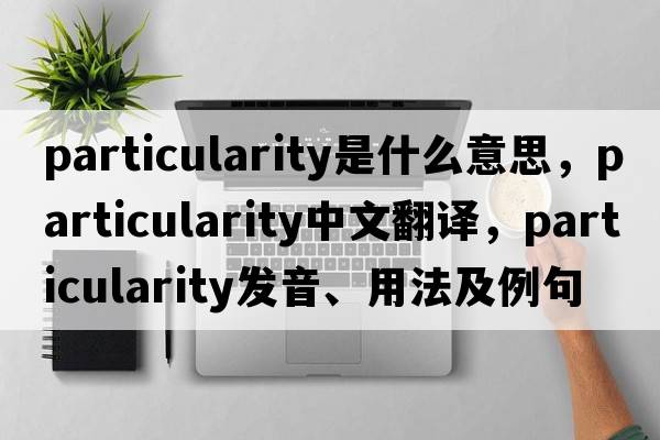 particularity是什么意思，particularity中文翻譯，particularity發(fā)音、用法及例句