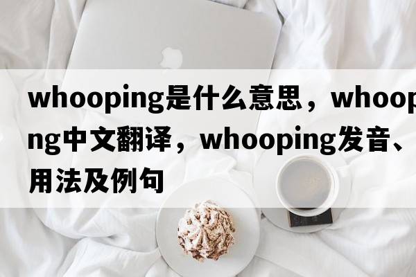 whooping是什么意思，whooping中文翻譯，whooping發(fā)音、用法及例句