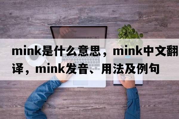 mink是什么意思，mink中文翻譯，mink發(fā)音、用法及例句