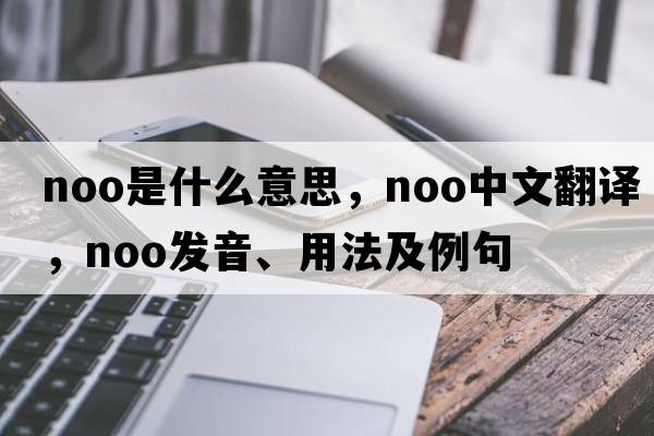 noo是什么意思，noo中文翻譯，noo發(fā)音、用法及例句