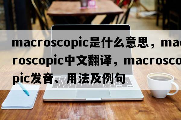 macroscopic是什么意思，macroscopic中文翻譯，macroscopic發(fā)音、用法及例句