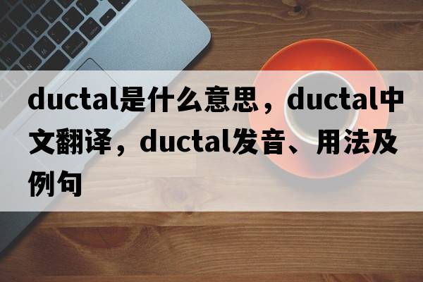 ductal是什么意思，ductal中文翻譯，ductal發(fā)音、用法及例句