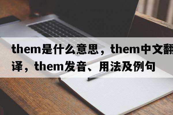 them是什么意思，them中文翻譯，them發(fā)音、用法及例句