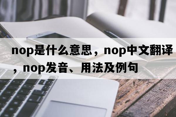 nop是什么意思，nop中文翻譯，nop發(fā)音、用法及例句