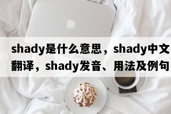 shady是什么意思，shady中文翻譯，shady發(fā)音、用法及例句