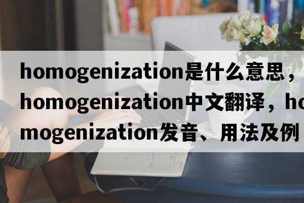 homogenization是什么意思，homogenization中文翻譯，homogenization發(fā)音、用法及例句