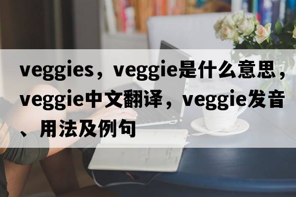 veggies，veggie是什么意思，veggie中文翻譯，veggie發(fā)音、用法及例句