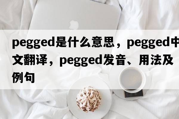 pegged是什么意思，pegged中文翻譯，pegged發(fā)音、用法及例句