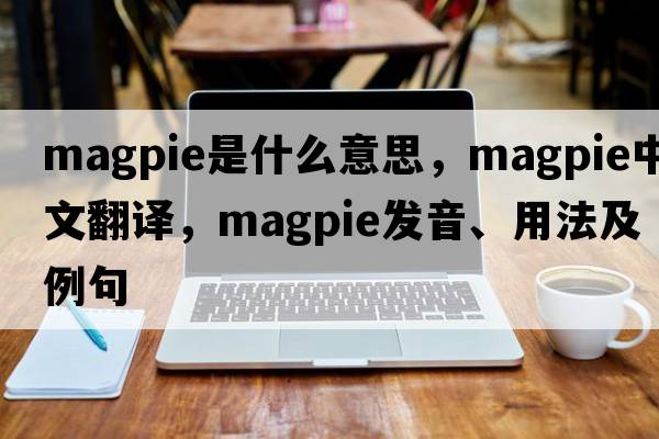 magpie是什么意思，magpie中文翻譯，magpie發(fā)音、用法及例句