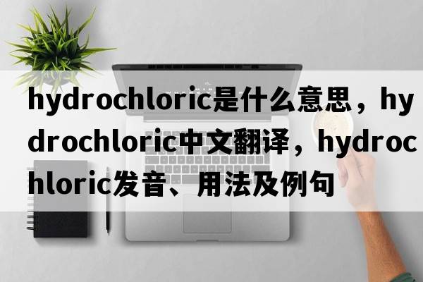 hydrochloric是什么意思，hydrochloric中文翻譯，hydrochloric發(fā)音、用法及例句