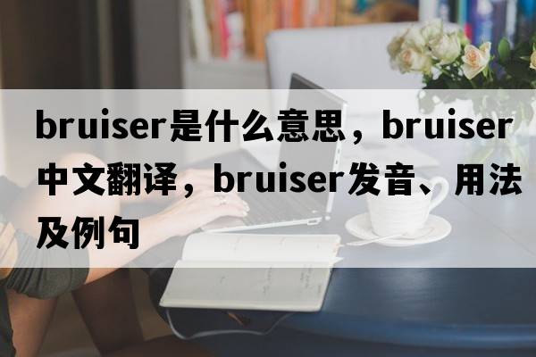 bruiser是什么意思，bruiser中文翻譯，bruiser發(fā)音、用法及例句