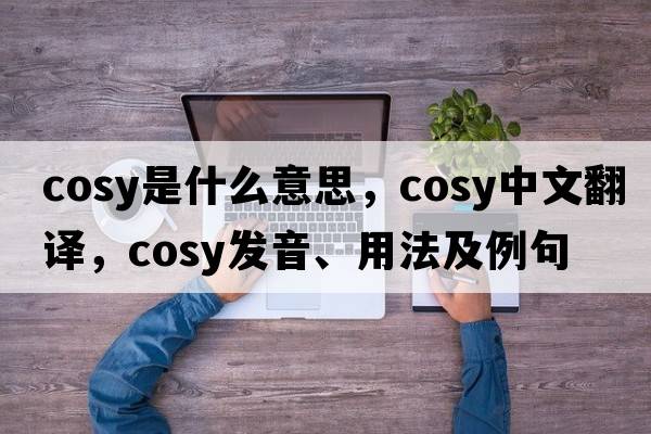 cosy是什么意思，cosy中文翻譯，cosy發(fā)音、用法及例句