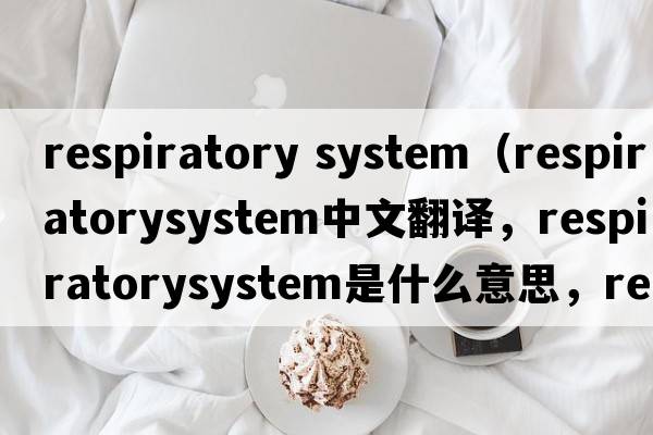 respiratory system（respiratorysystem中文翻譯，respiratorysystem是什么意思，respiratorysystem發(fā)音、用法及例句）