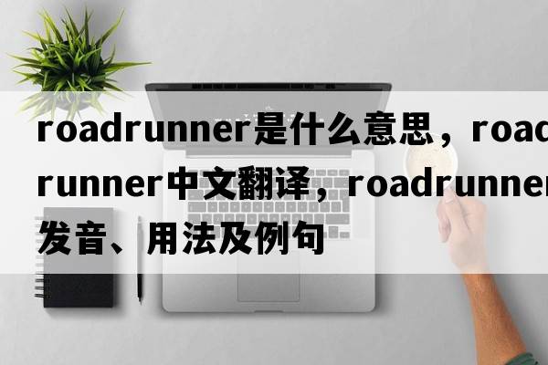 roadrunner是什么意思，roadrunner中文翻譯，roadrunner發(fā)音、用法及例句