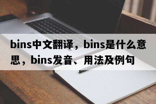 bins中文翻譯，bins是什么意思，bins發(fā)音、用法及例句