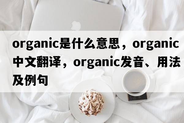organic是什么意思，organic中文翻譯，organic發(fā)音、用法及例句