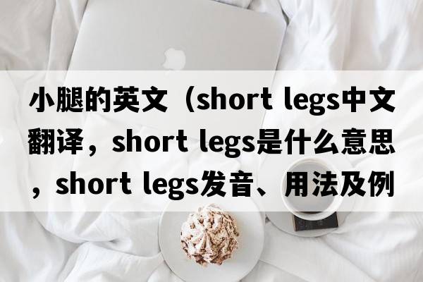 小腿的英文（short legs中文翻譯，short legs是什么意思，short legs發(fā)音、用法及例句）