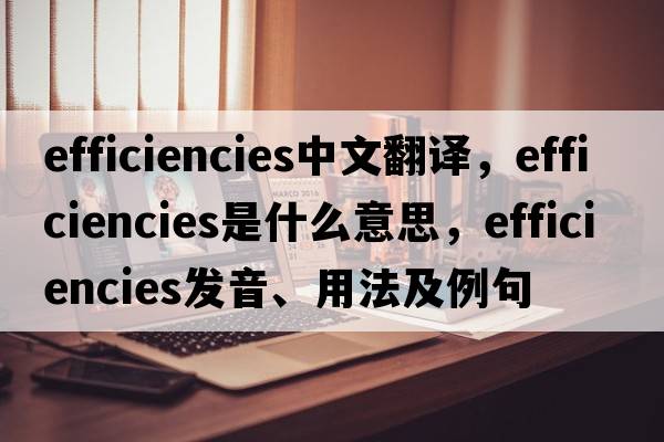 efficiencies中文翻譯，efficiencies是什么意思，efficiencies發(fā)音、用法及例句