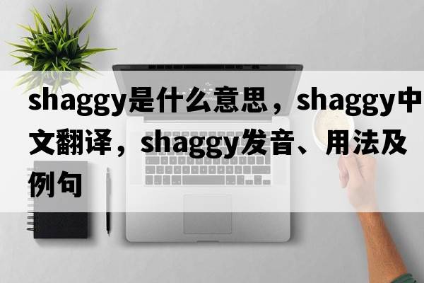 shaggy是什么意思，shaggy中文翻譯，shaggy發(fā)音、用法及例句