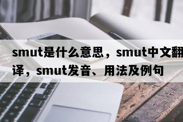 smut是什么意思，smut中文翻譯，smut發(fā)音、用法及例句