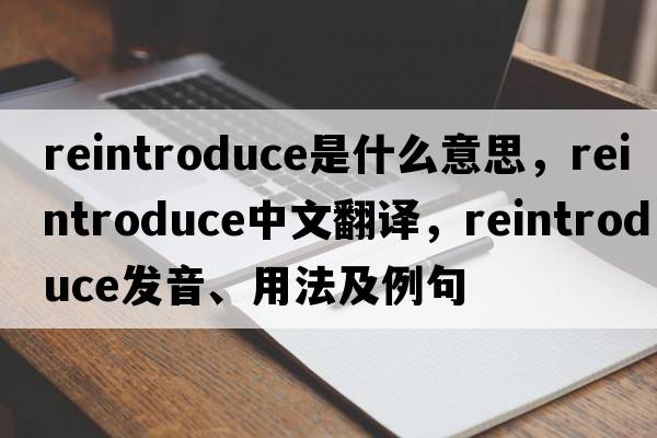 reintroduce是什么意思，reintroduce中文翻譯，reintroduce發(fā)音、用法及例句